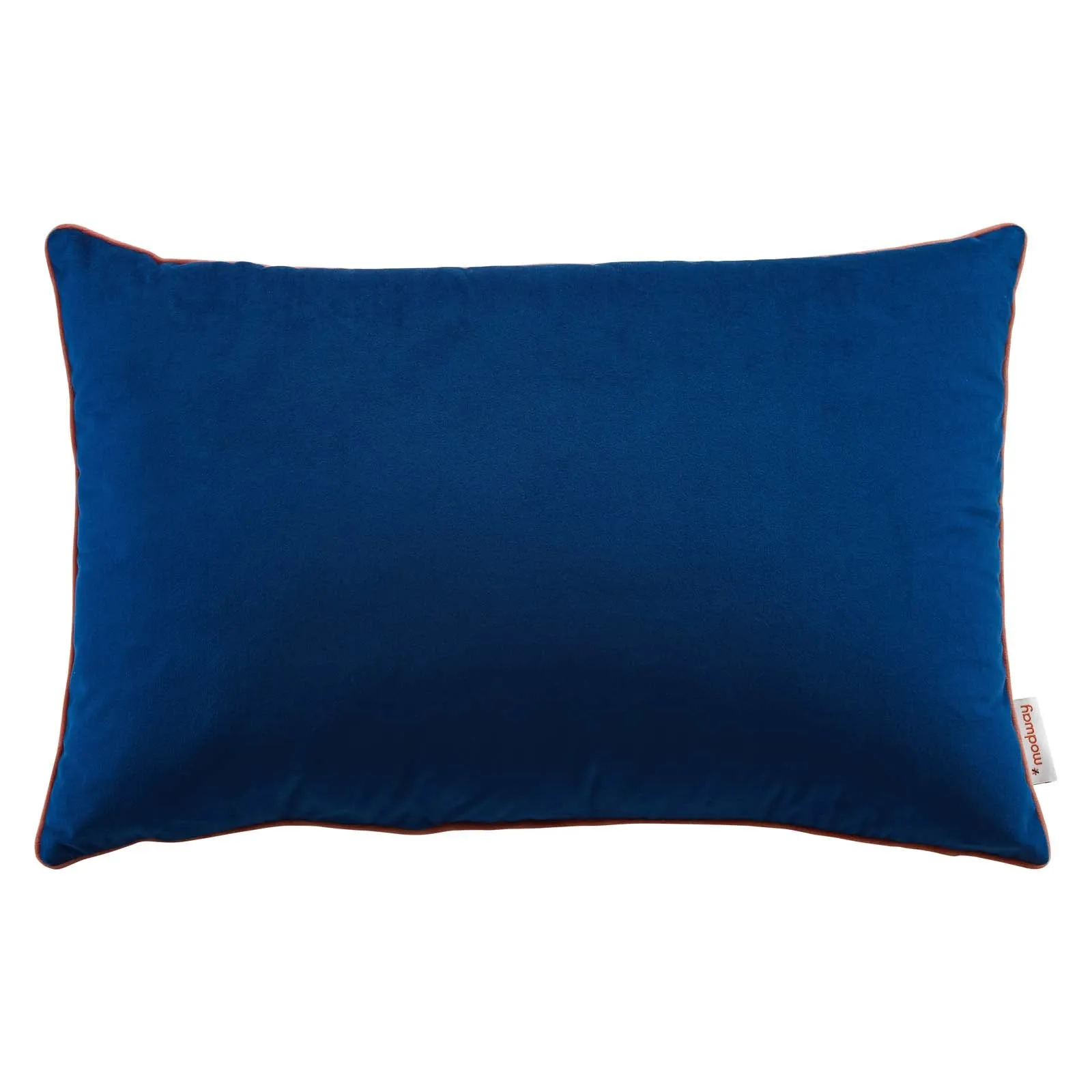 Accentuate 24" Lumbar Performance Velvet Throw Pillow